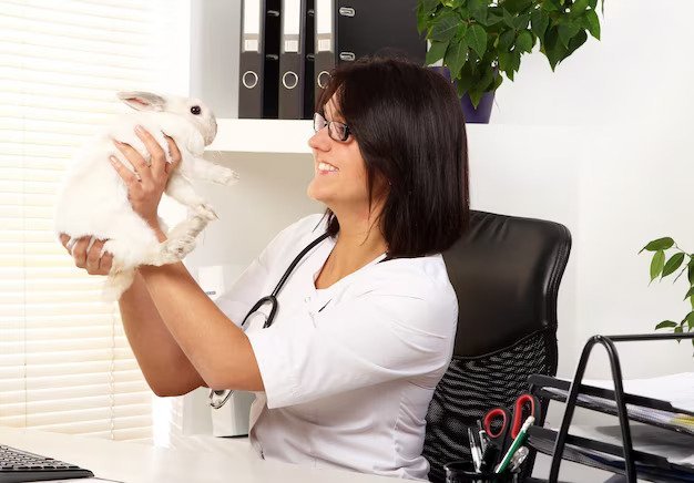 Easy Access To Veterinary Care(Animal Loan)